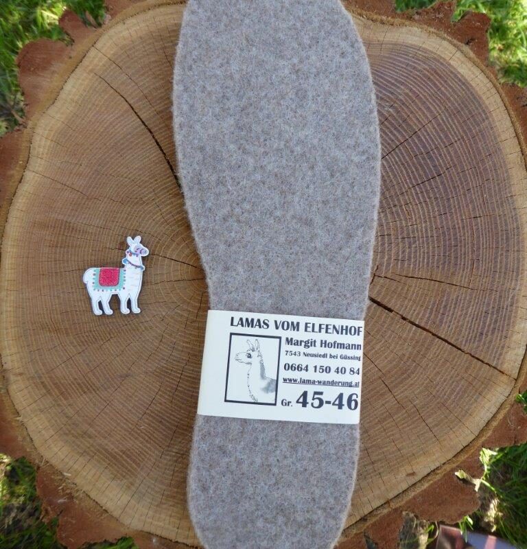 Schuheinlagen Gr. 45 - 46