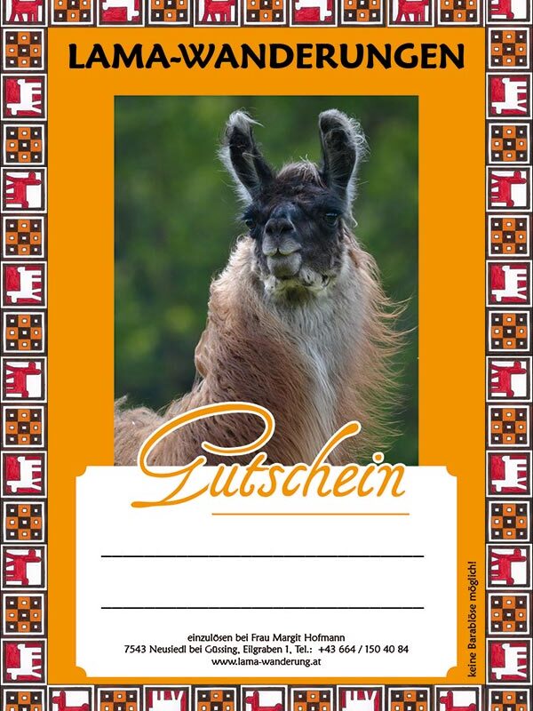 Geschenkgutschein - Erwachsener